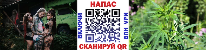 MEGA как войти  Калач  shop какой сайт  Бошки марихуана VHQ 